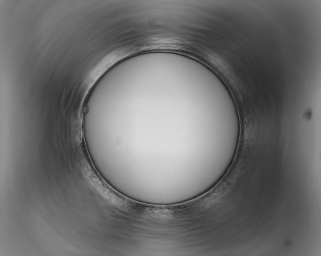 X0000115781370200911271154