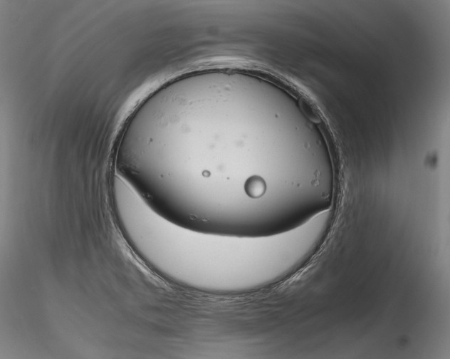 X0000115781373200911271154