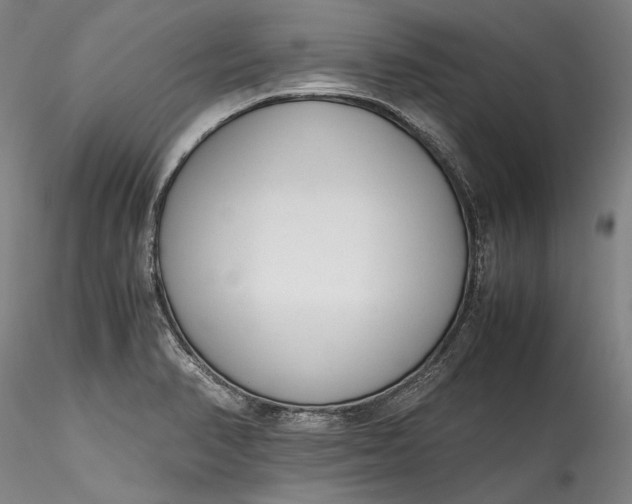 X0000115781374200911271154