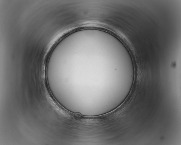 X0000115781376200911271154