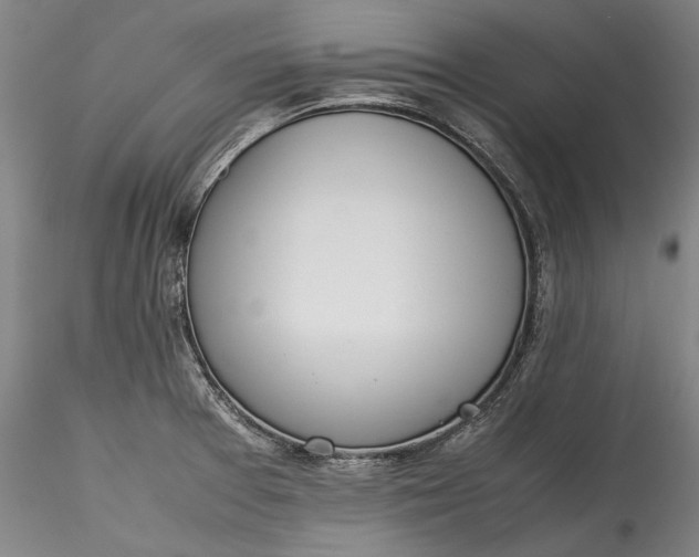 X0000115781377200911271154