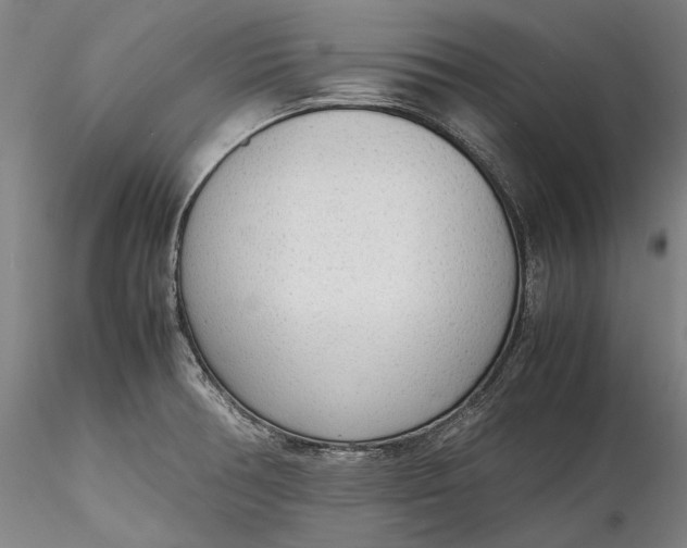 X0000115781378200911271154