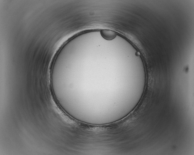 X0000115781380200911271154