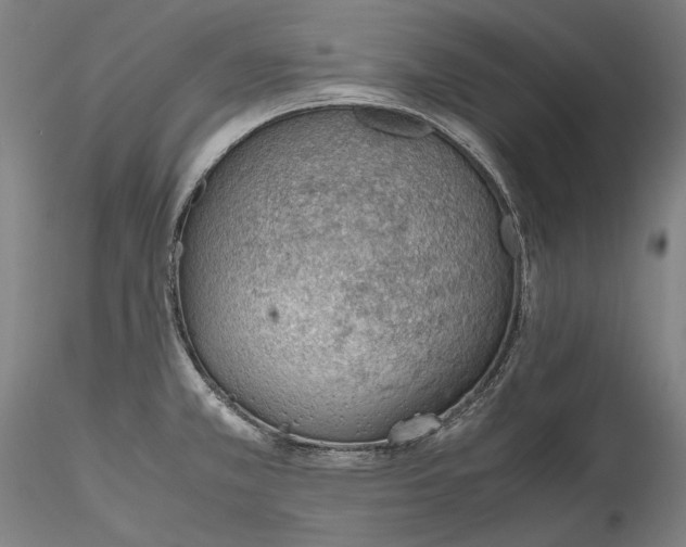 X0000115781381200911271154