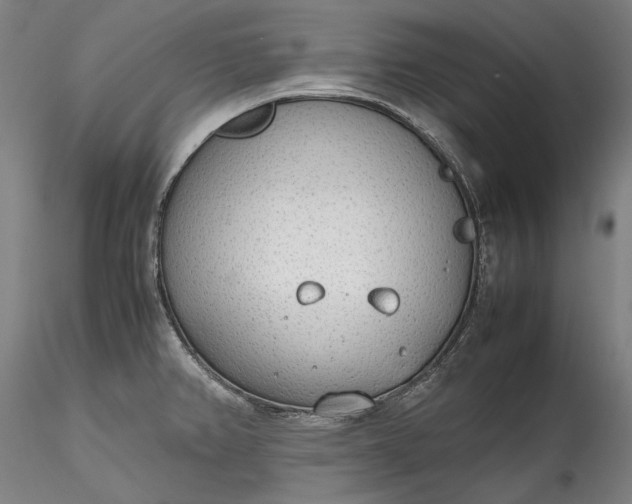 X0000115781382200911271154