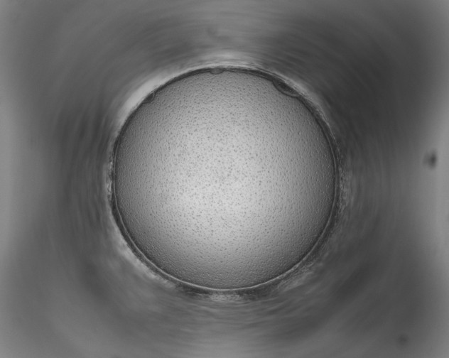 X0000115781383200911271154