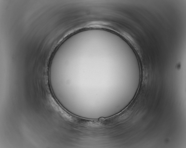 X0000115781384200911271154