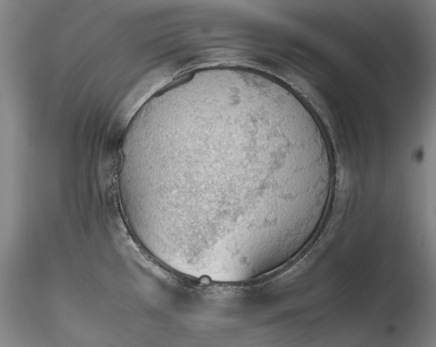 X0000115781385200911271154