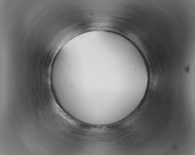 X0000115781386200911271154