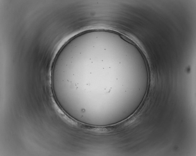 X0000115781388200911271154