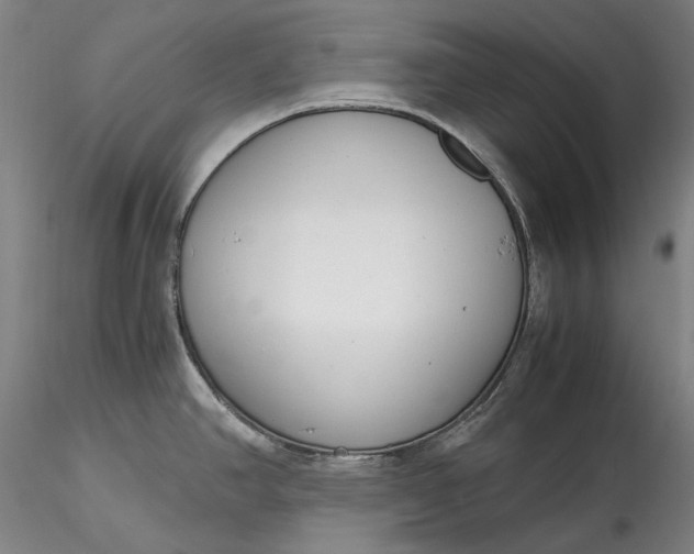 X0000115781390200911271154