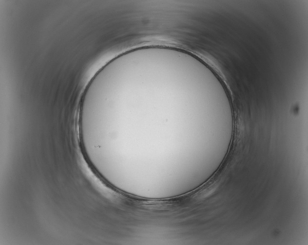 X0000115781391200911271154