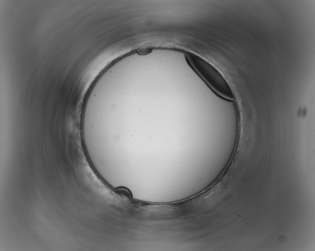 X0000115781392200911271154