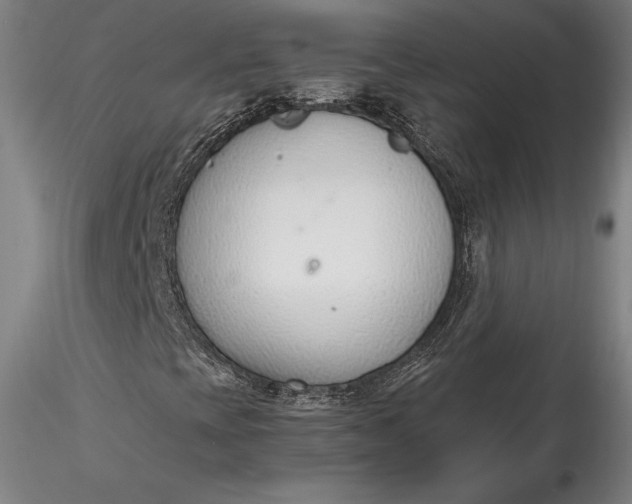 X0000115781393200911271153