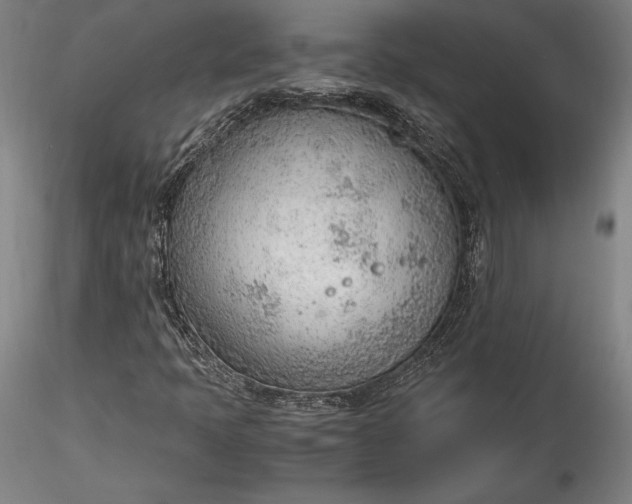 X0000115781397200911271153