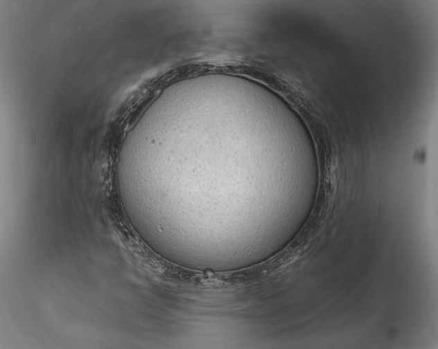 X0000115781398200911271153