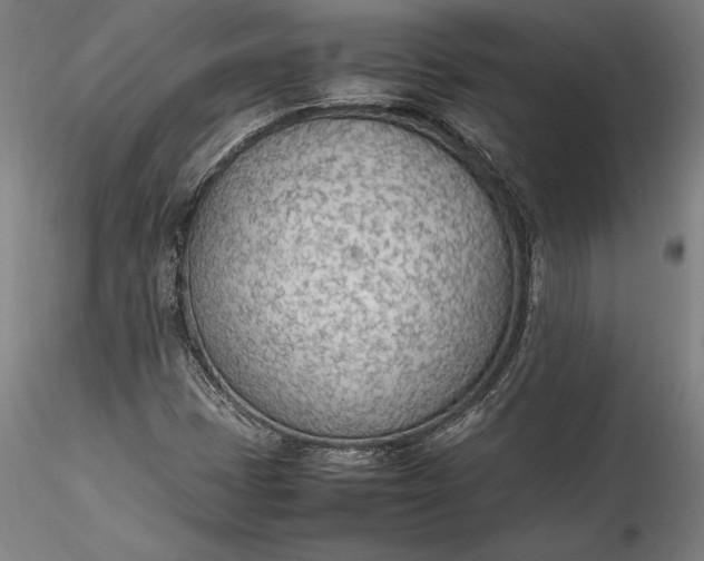 X0000115781401200911271153