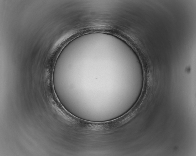 X0000115781402200911271153