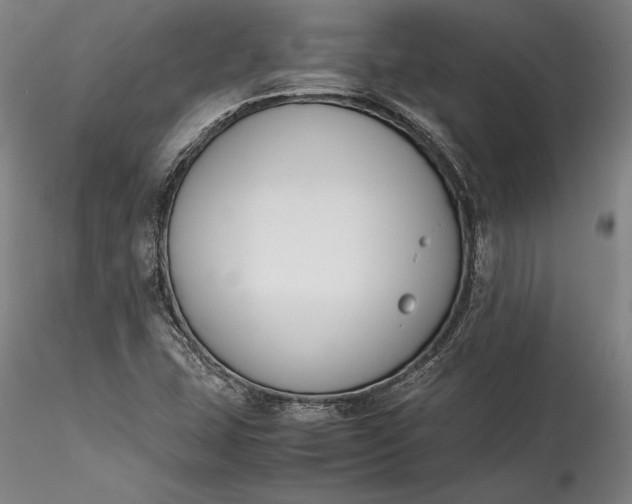 X0000115781407200911271153