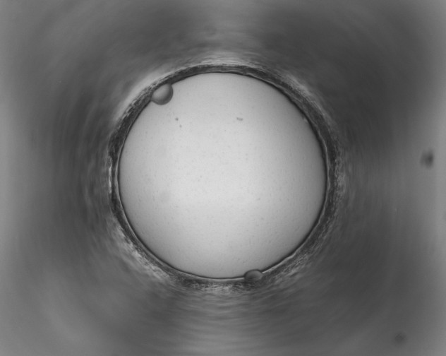 X0000115781408200911271153