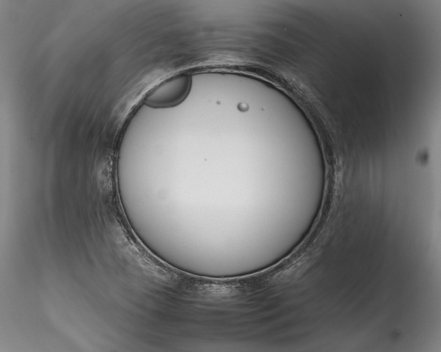 X0000115781409200911271153