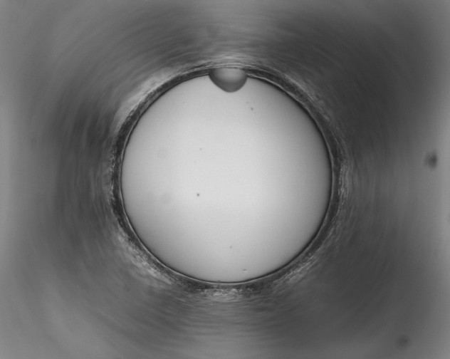 X0000115781410200911271153