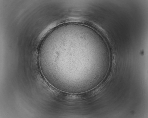 X0000115781411200911271153