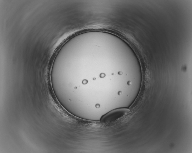 X0000115781412200911271153