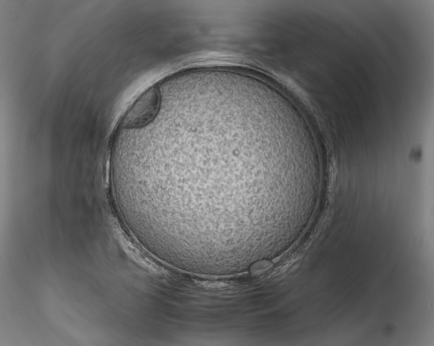 X0000115781413200911271154