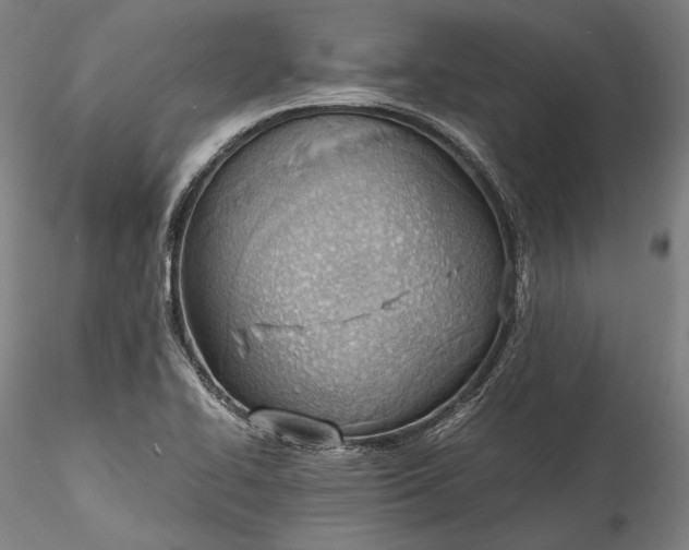 X0000115781414200911271154