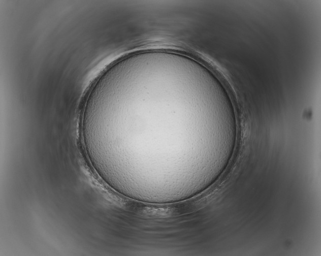 X0000115781415200911271154