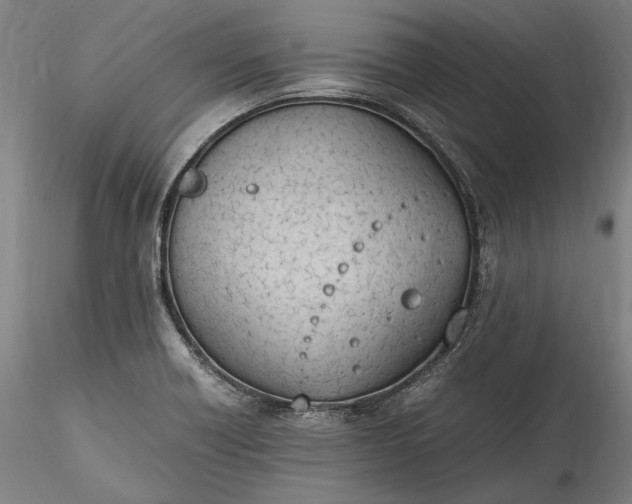 X0000115781418200911271154