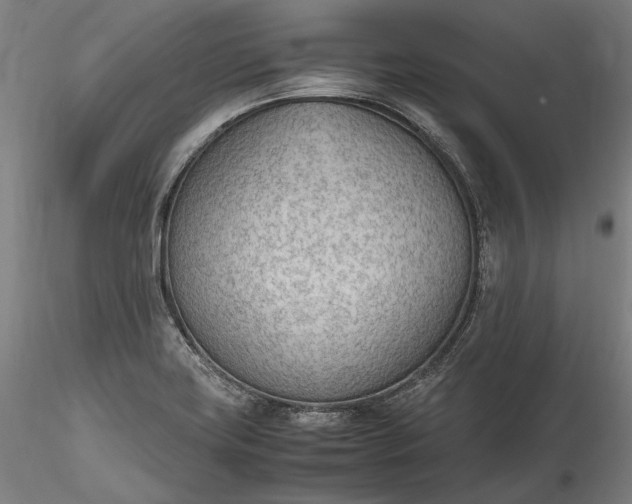 X0000115781419200911271154