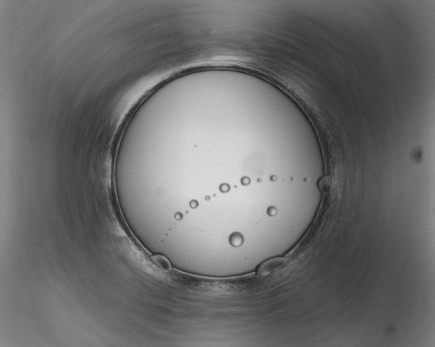 X0000115781420200911271154