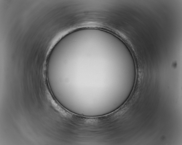 X0000115781421200911271154