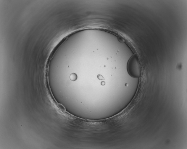 X0000115781423200911271154