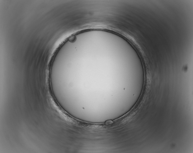 X0000115781424200911271154