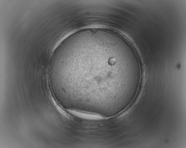 X0000115781425200911271154