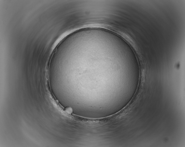 X0000115781428200911271154