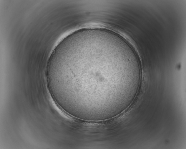 X0000115781429200911271154