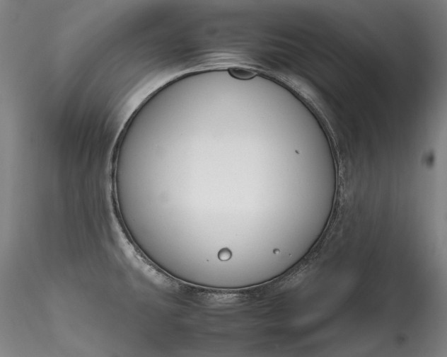 X0000115781431200911271154