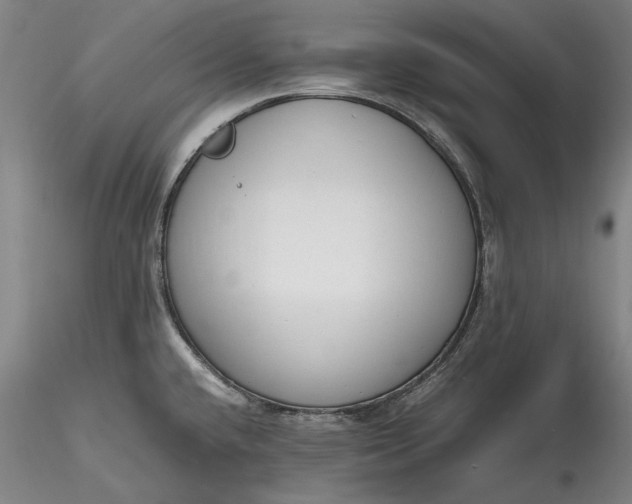 X0000115781432200911271154