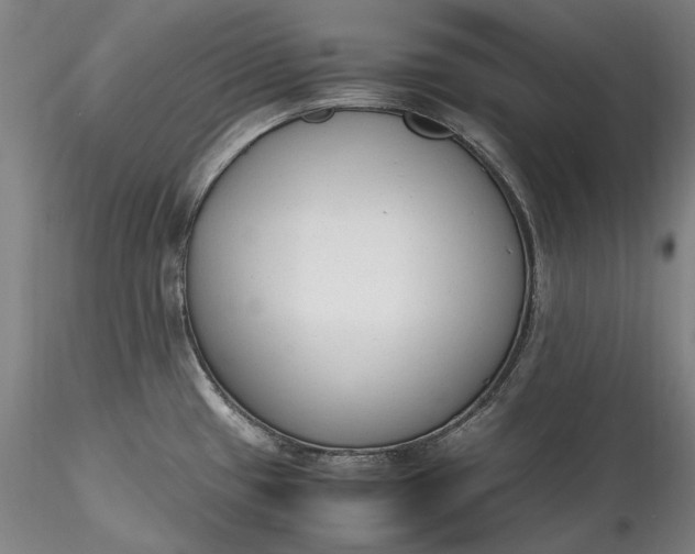 X0000115781433200911271154