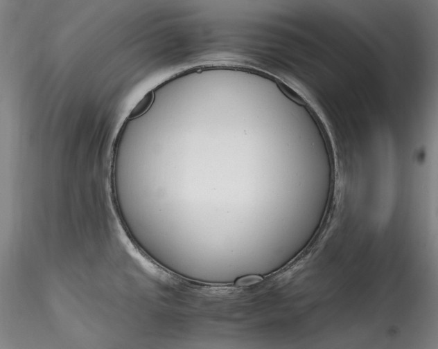 X0000115781437200911271154