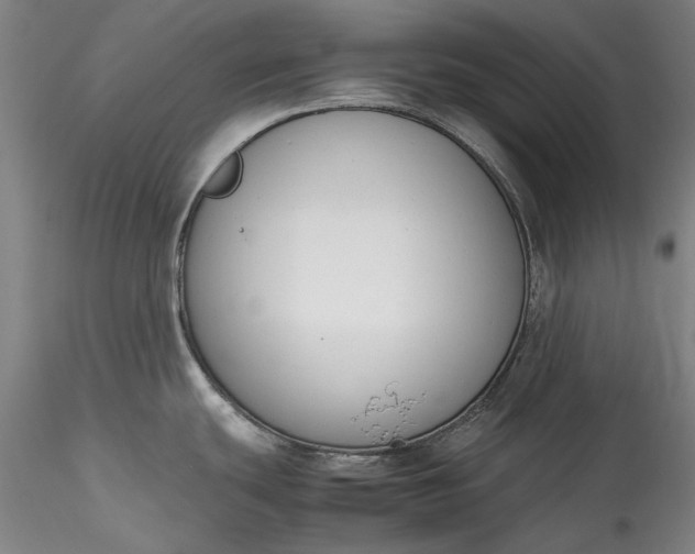 X0000115781439200911271154