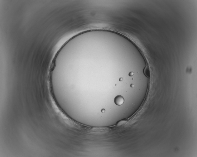 X0000115781440200911271154