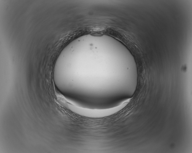 X0000115781441200911271153