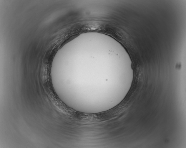 X0000115781442200911271153