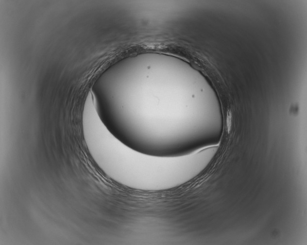 X0000115781444200911271153