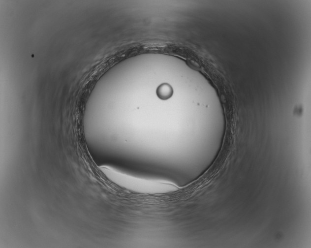 X0000115781445200911271153